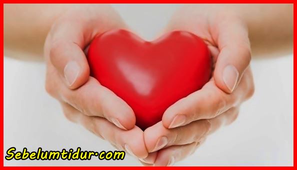 7 Nama Penyakit Yang Berhubungan Dengan Darah Dan Jantung