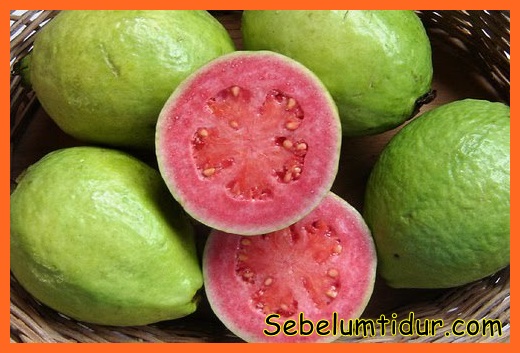 obat tradisional demam berdarah